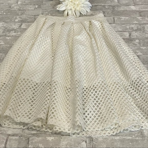 SOLD | Elegant Perforated Eyelet Poodle Skirt NWOT ⚡️HOST PICK⚡️ - Picture 5 of 14